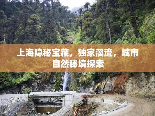 上海隐秘宝藏,独家溪流,城市自然秘境探索