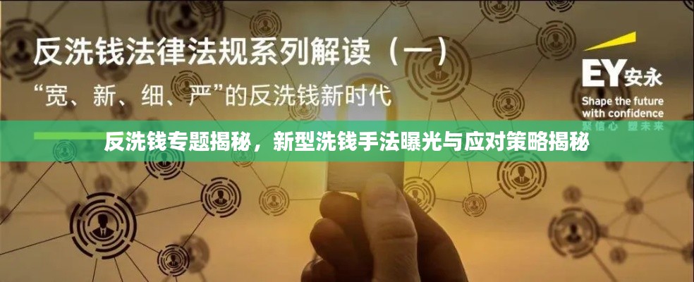 反洗钱专题揭秘,新型洗钱手法曝光与应对策略揭秘