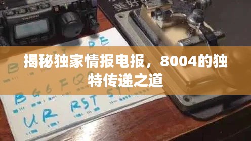 揭秘独家情报电报,8004的独特传递之道
