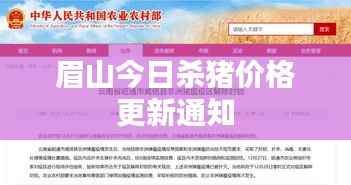 澹泊明志，宁静致远 第3页