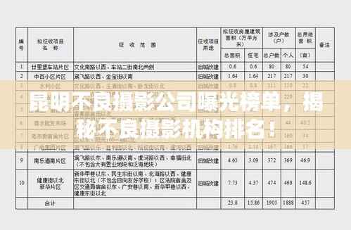 昆明不良摄影公司曝光榜单,揭秘不良摄影机构排名!