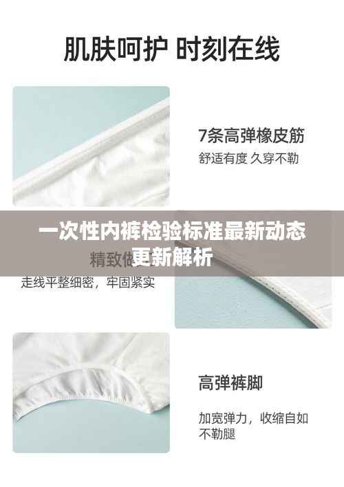 一次性内裤检验标准最新动态更新解析