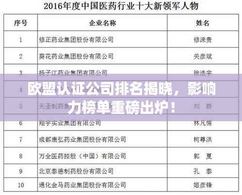 欧盟认证公司排名揭晓,影响力榜单重磅出炉!
