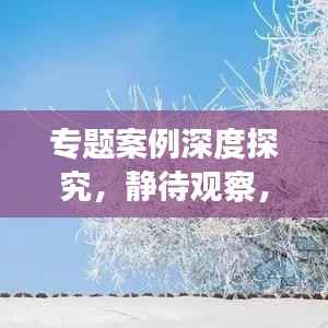 专题案例深度探究，静待观察，揭秘未知
