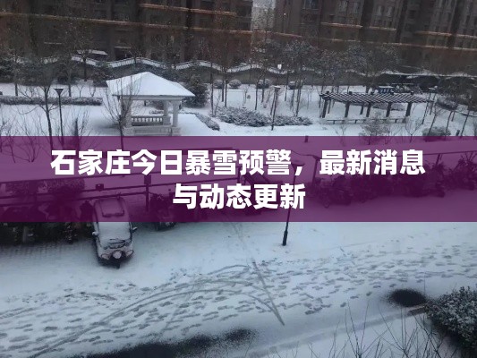 石家庄今日暴雪预警,最新消息与动态更新