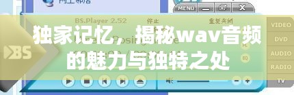 独家记忆,揭秘wav音频的魅力与独特之处
