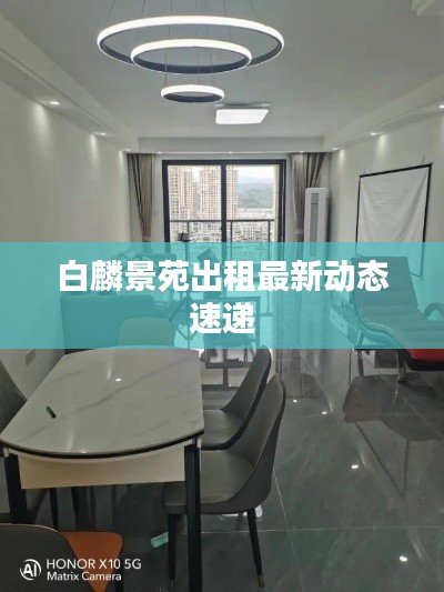 白麟景苑出租最新动态速递