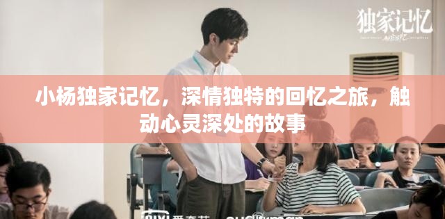 小杨独家记忆,深情独特的回忆之旅,触动心灵深处的故事