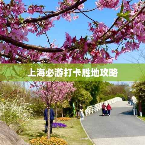 上海必游打卡胜地攻略