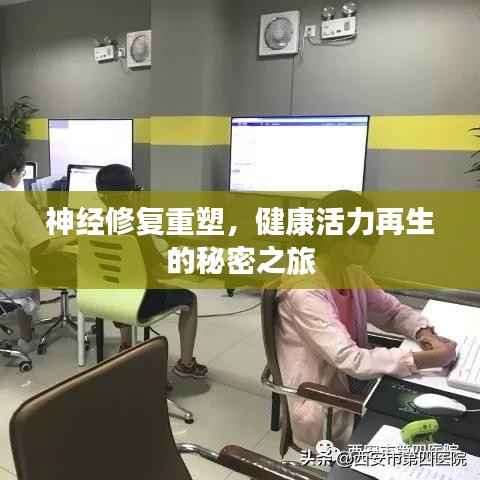 神经修复重塑,健康活力再生的秘密之旅