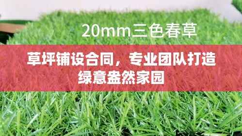 草坪铺设合同,专业团队打造绿意盎然家园