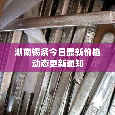 湖南锡条今日最新价格动态更新通知