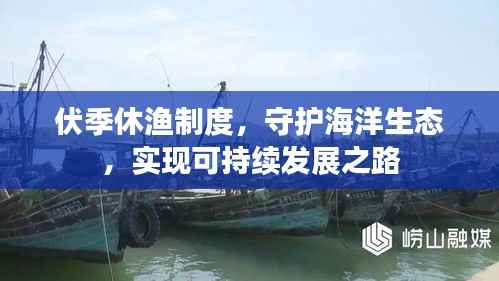 伏季休渔制度,守护海洋生态,实现可持续发展之路