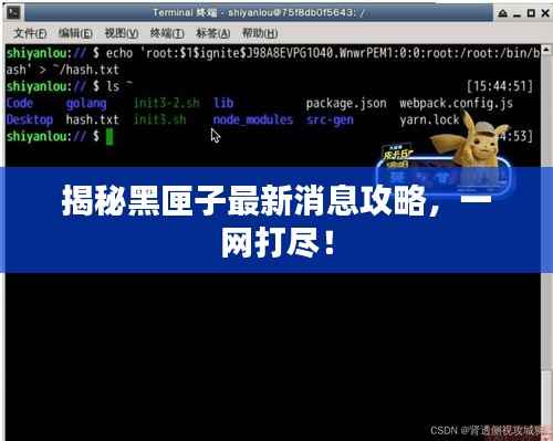 揭秘黑匣子最新消息攻略,一网打尽!