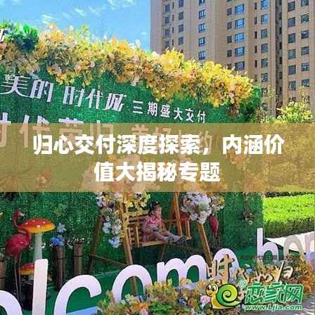 归心交付深度探索,内涵价值大揭秘专题