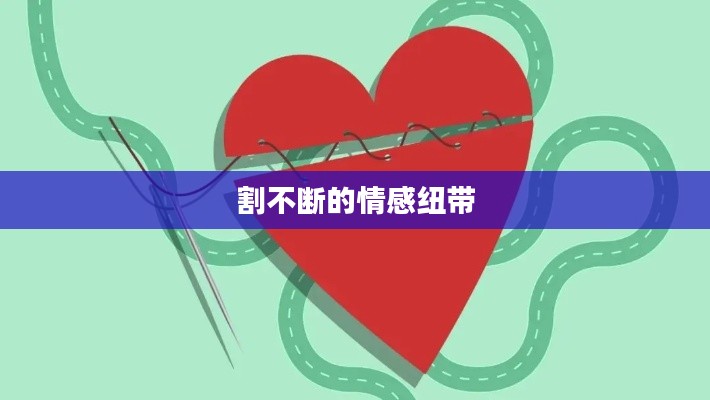 割不断的情感纽带