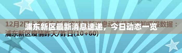 浦东新区最新消息速递,今日动态一览