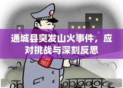 通城县突发山火事件,应对挑战与深刻反思