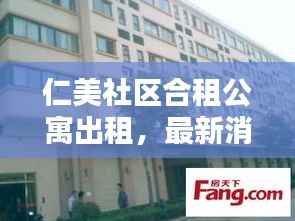 仁美社区合租公寓出租,最新消息与房源动态