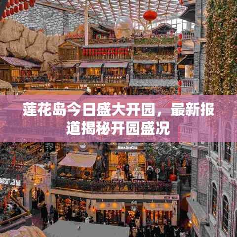 莲花岛今日盛大开园,最新报道揭秘开园盛况