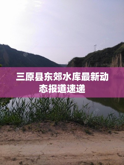 三原县东郊水库最新动态报道速递