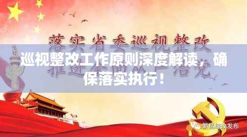巡视整改工作原则深度解读,确保落实执行!