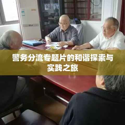 警务分流专题片的和谐探索与实践之旅