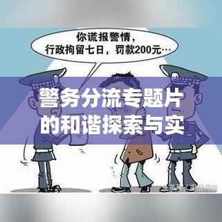 警务分流专题片的和谐探索与实践之旅