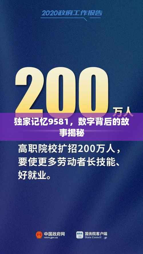 独家记忆9581,数字背后的故事揭秘
