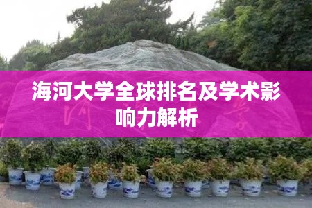 海河大学全球排名及学术影响力解析