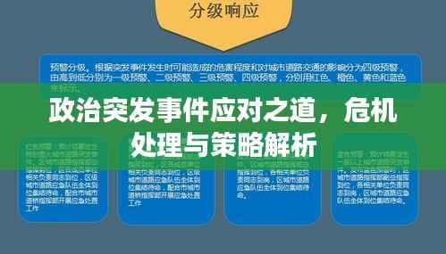 政治突发事件应对之道,危机处理与策略解析