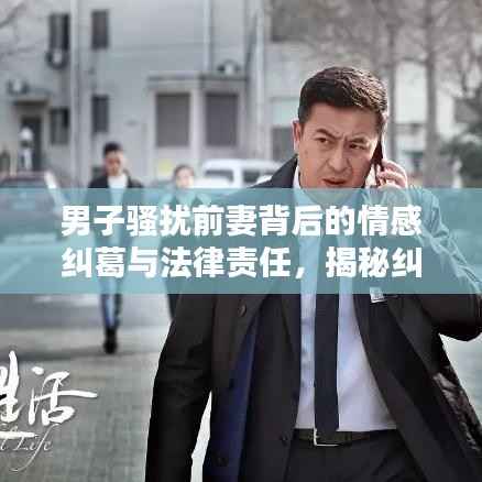 男子骚扰前妻背后的情感纠葛与法律责任,揭秘纠缠不清的法律红线