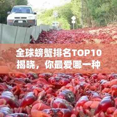 全球螃蟹排名TOP10揭晓,你最爱哪一种?
