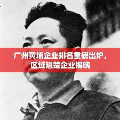 广州黄埔企业排名重磅出炉,区域翘楚企业揭晓