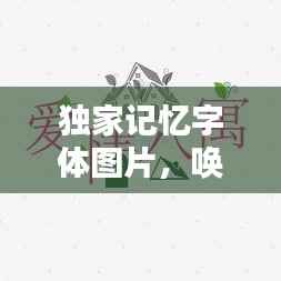 独家记忆字体图片,唤醒文字的艺术,引发情感共鸣的创意视觉体验