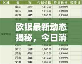 欧银最新动态揭秘,今日消息一网打尽!