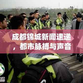 成都锦城新闻速递,都市脉搏与声音聚焦头条