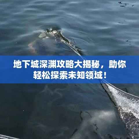 地下城深渊攻略大揭秘,助你轻松探索未知领域!