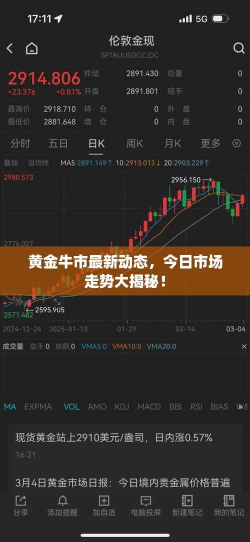 黄金牛市最新动态,今日市场走势大揭秘!