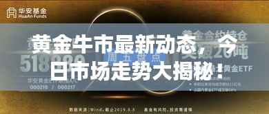 黄金牛市最新动态,今日市场走势大揭秘!