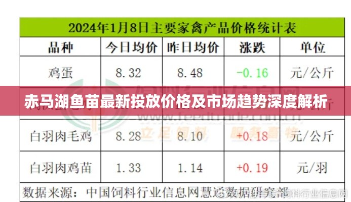 赤马湖鱼苗最新投放价格及市场趋势深度解析