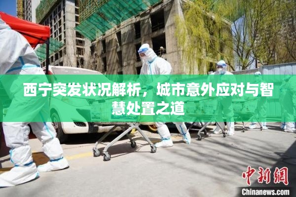 西宁突发状况解析，城市意外应对与智慧处置之道