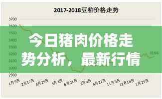 今日猪肉价格走势分析，最新行情揭秘