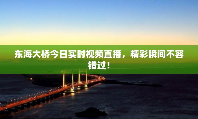 东海大桥今日实时视频直播,精彩瞬间不容错过!