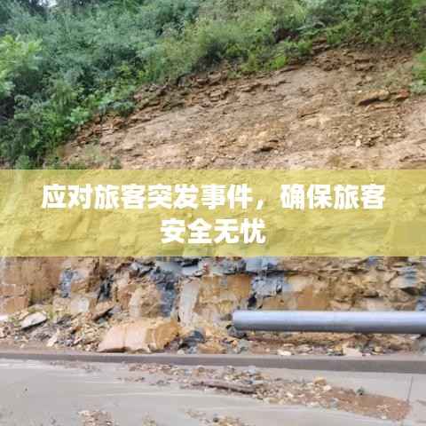 应对旅客突发事件，确保旅客安全无忧