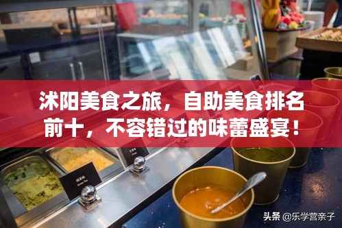 沭阳美食之旅，自助美食排名前十，不容错过的味蕾盛宴！
