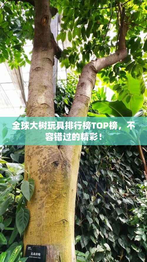 全球大树玩具排行榜TOP榜，不容错过的精彩！