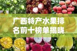 广西特产水果排名前十榜单揭晓!不容错过的十大美味水果推荐