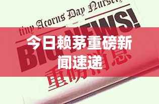 今日赖茅重磅新闻速递