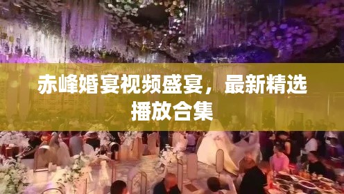 赤峰婚宴视频盛宴,最新精选播放合集